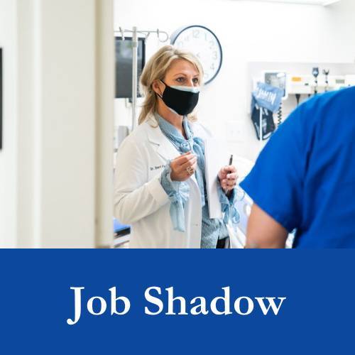 Job Shadow